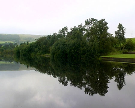 Bird sanctuary tree line, Arnfield Fly Fishery