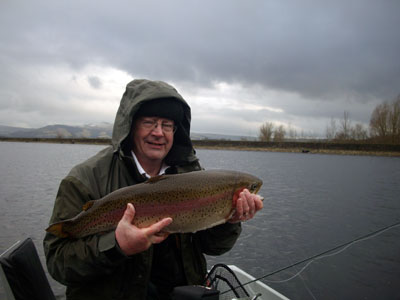 Bird sanctuary tree line, Arnfield Fly Fishery
