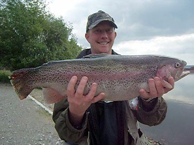Bird sanctuary tree line, Arnfield Fly Fishery