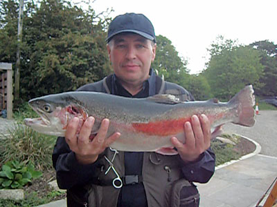 Bird sanctuary tree line, Arnfield Fly Fishery